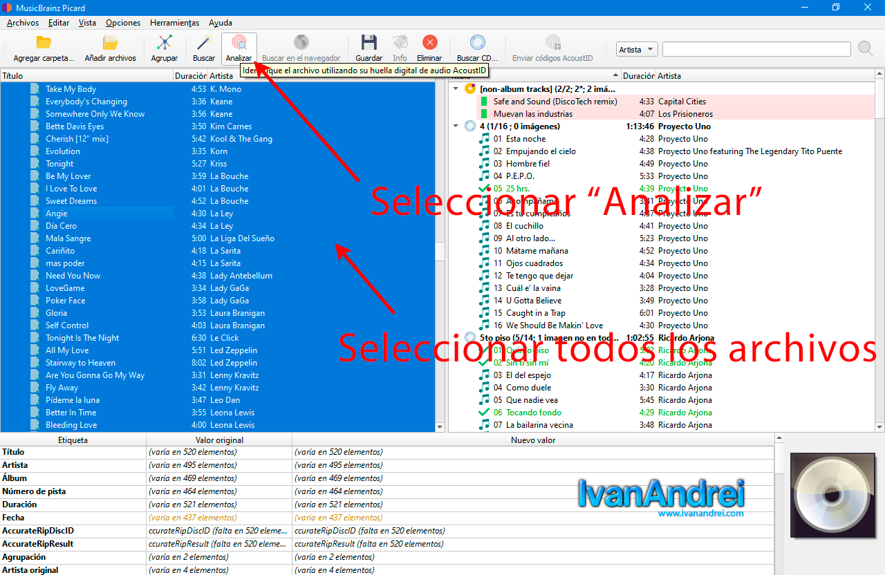 MusicBrainz Picard - Seleccionar canciones a analizar