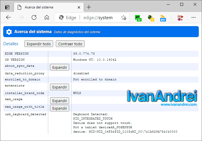 Opciones ocultas de Microsoft Edge - Página system